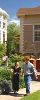 Dibble garden 1