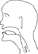cutaway of face